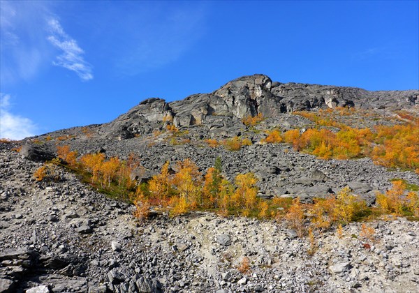 По пути в д.р. Лявойок